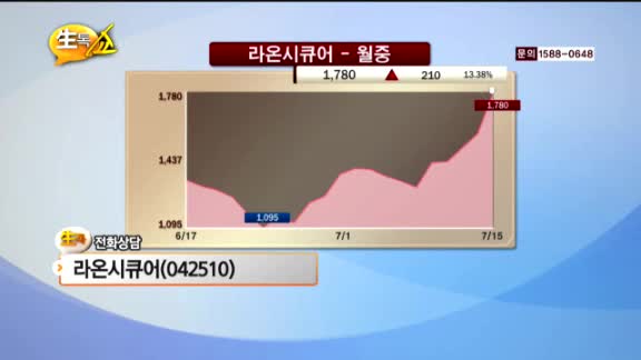[종목상담] 라온시큐어(042510)