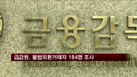 금감원, 조세회피처 통한 불법외환거래자 184명 조사