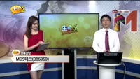 [종목상담] MDS테크(086960)