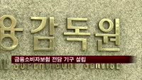 금융소비자 보호 업무 전담 금융감독기구 설립