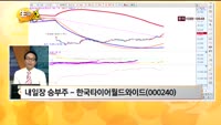 [관심종목] 한국타이어월드와이드(000240)