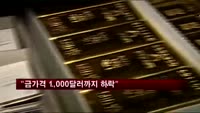 "2년 안에 금 가격 1000달러까지 하락"