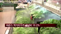 바캉스 먹거리 가격, 전년비 10.2%↑