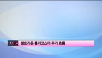[이슈] 시장보는 女자