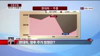 [집중관찰] 현대차 (7) 미래분석 - 최영동 MBN 골드 전문가