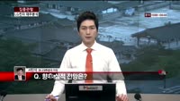 [집중관찰] LG전자 (6) 재무분석 - 서민석 하나대투증권 차장