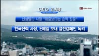 CEO24