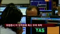 유럽증시 미 양적 완화 축소 우려에 하락