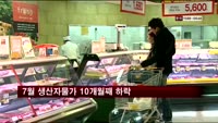 7월 생산자물가 10개월째 하락
