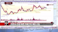 [집중관찰] 한진 (7) 미래분석 - 최영동 MBN 골드 전문가