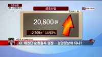 [집중관찰] 금호산업 (6) 재무분석 - 서민석 하나대투증권 차장