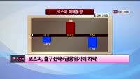 [이슈] 시장보는 女자