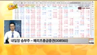 [관심종목] 메리츠종금증권(008560)