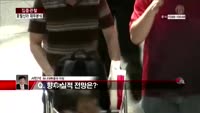 [집중관찰] 호텔신라 (5) 재무분석 - 서민석 하나대투증권 차장