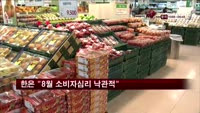 한은 "8월 소비자심리 낙관적"