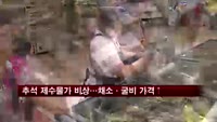 추석 제수물가 비상…채소·굴비 가격↑