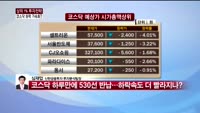 [상위 1% 투자전략] 코스닥 530선 반납... 하락 가속화 가능성 진단 