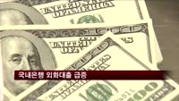 국내은행 외화대출 급증