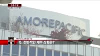 [집중관찰] 아모레퍼시픽 (6) 재무분석 - 서민석 하나대투증권 차장