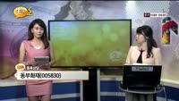 [종목상담] 동부화재(005830)