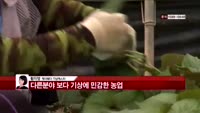 [날씨와경영] 전국 안개, 일부지역 약한 비