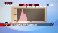 [집중관찰] 금호산업 (6) 재무분석 - 서민석 하나대투증권 차장
