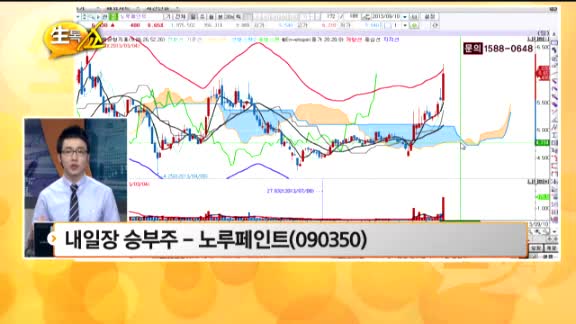 [관심종목] 노루페인트(090350)