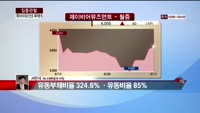 [집중관찰] 제이비어뮤즈먼트 (6) 재무분석 - 서민석 하나대투증권 차장