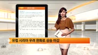 [해외시황] 유럽 증시 시리아 우려 완화로 상승 마감