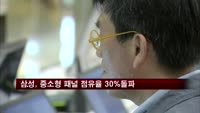 삼성디스플레이, 중소형 패널 점유율 30% 첫 돌파