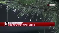 [날씨와경영] 가을 비 낮까지 이어지다 그칠 것