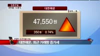 [집중관찰] 대한해운  (3) 이슈 분석 - 차영주 하이투자증권 차장