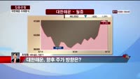 [집중관찰] 대한해운 (7) 미래분석 - 최영동 MBN골드 전문가