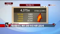 [집중관찰] 태산엘시디 (8) 투자분석 - 이성웅 동양증권 연구원