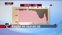 [집중관찰] 동양증권 (6) 재무분석 - 서민석 하나대투증권 차장