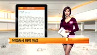 [해외시황] 뉴욕증시 하락 마감