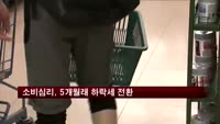 소비심리, 5개월래 하락세 전환