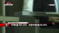 [집중관찰] 한화 (6) 재무분석 - 서민석 하나대투증권 차장