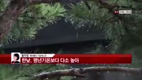 [날씨와경영] 전국 흐리고, 일부지역 산발적 비