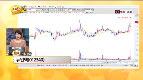 [종목상담] 뉴인텍(012340)