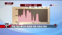 [집중관찰] 동부건설 (6) 미래분석 - 최영동 MBN골드 전문가