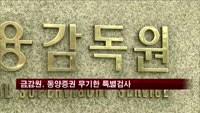 금감원, 동양증권 무기한 특별검사 실시