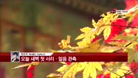 [날씨와경영] 오늘 새벽 첫 서리·얼음 관측