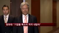 청와대 "기업들 목소리 적극 내달라"