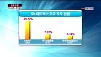 [집중관찰] SK네트웍스 (6) 주주분석 - 정영석 M머니 기자