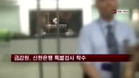 금감원, 신한은행 정치인계좌 불법조회 특별검사
