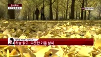 [날씨와경영] 하늘 맑고, 따뜻한 가을 날씨