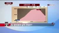 [집중관찰] 신한지주 (5) 재무분석 - 서민석 하나대투증권 차장