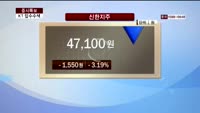 [집중관찰] 신한지주 (6) 주주분석 - 유재준 M머니 기자