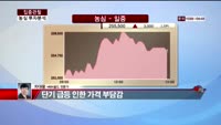[집중관찰] 농심 (8) 투자분석 - 차대웅 MBN골드 전문가
